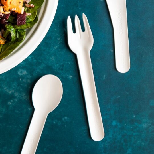 6.2in compostable paper fork